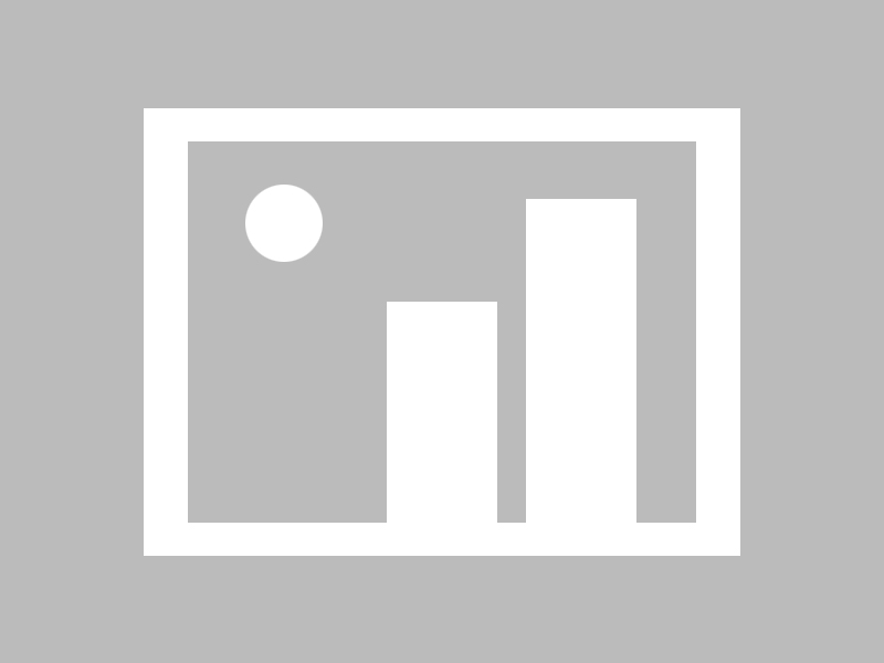 -人遭逢惨败独行侠，寻找突破——逆境中的新机遇与转型之路