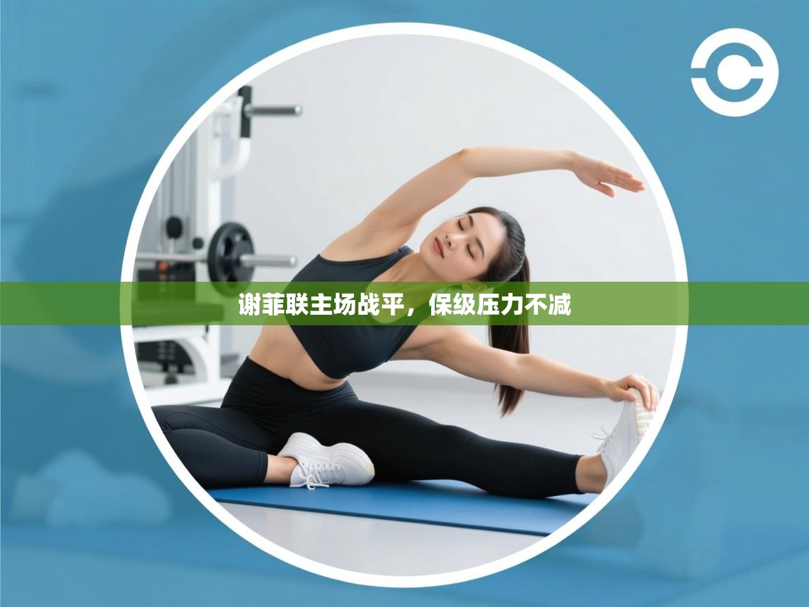 谢菲联主场战平，保级压力不减