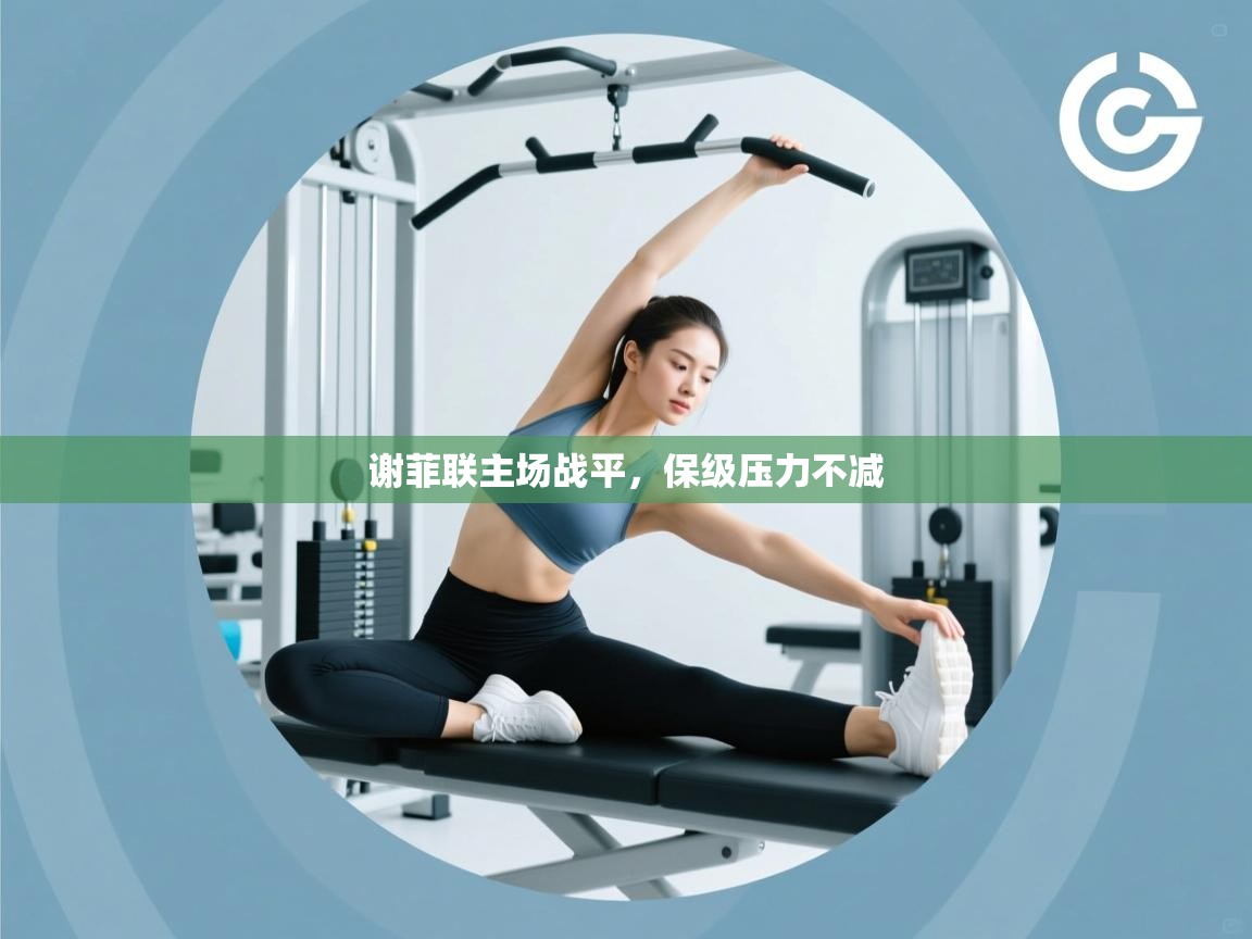 谢菲联主场战平,保级压力不减 第2张