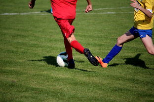 九游体育网页版入口-张家口球员表现出色，率队取得胜利